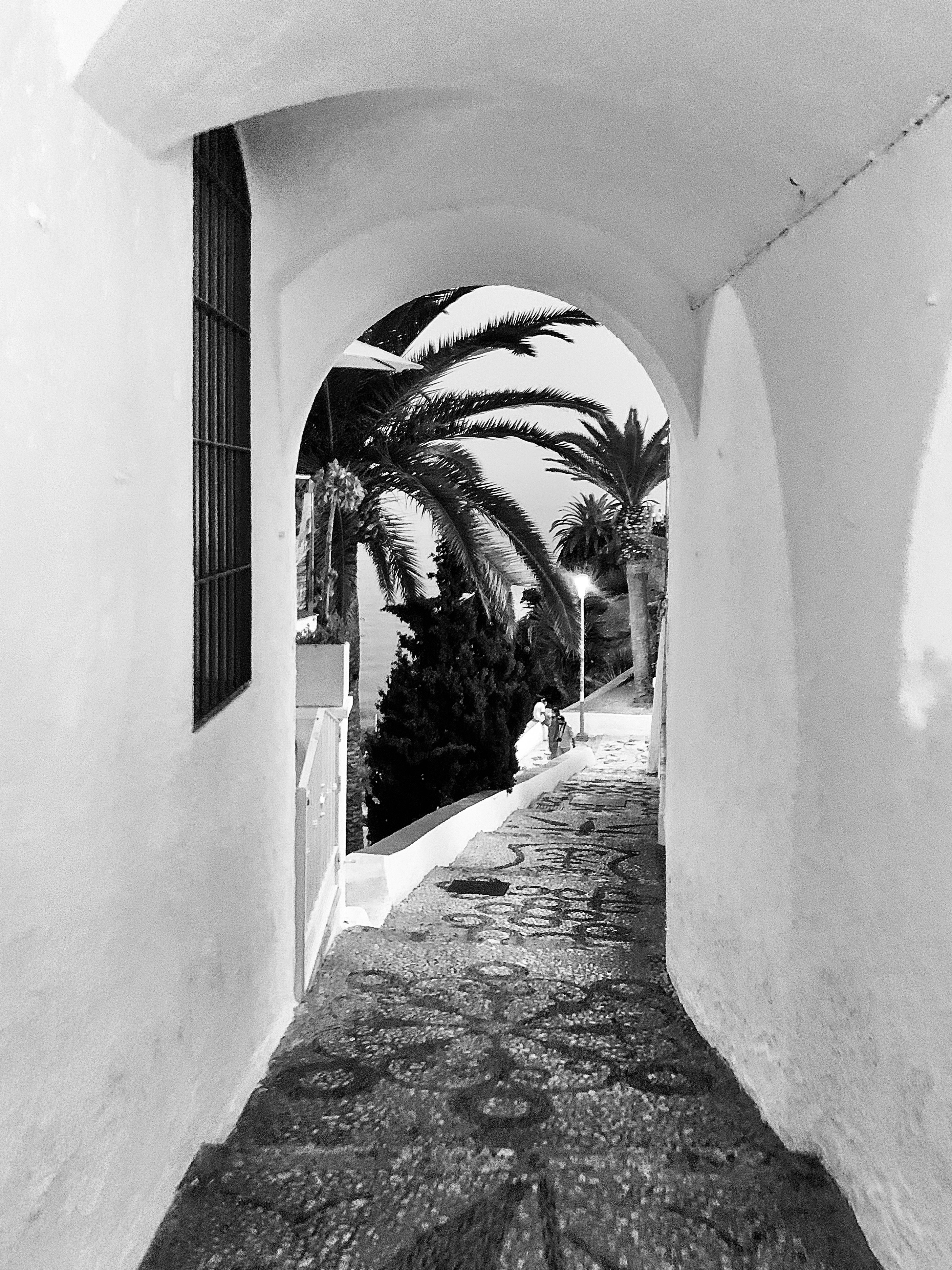 Whitewashed arch alley with palm trees in Portimão